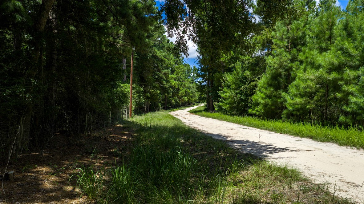 5550 Hamilton Hill Lane Property Photo 18