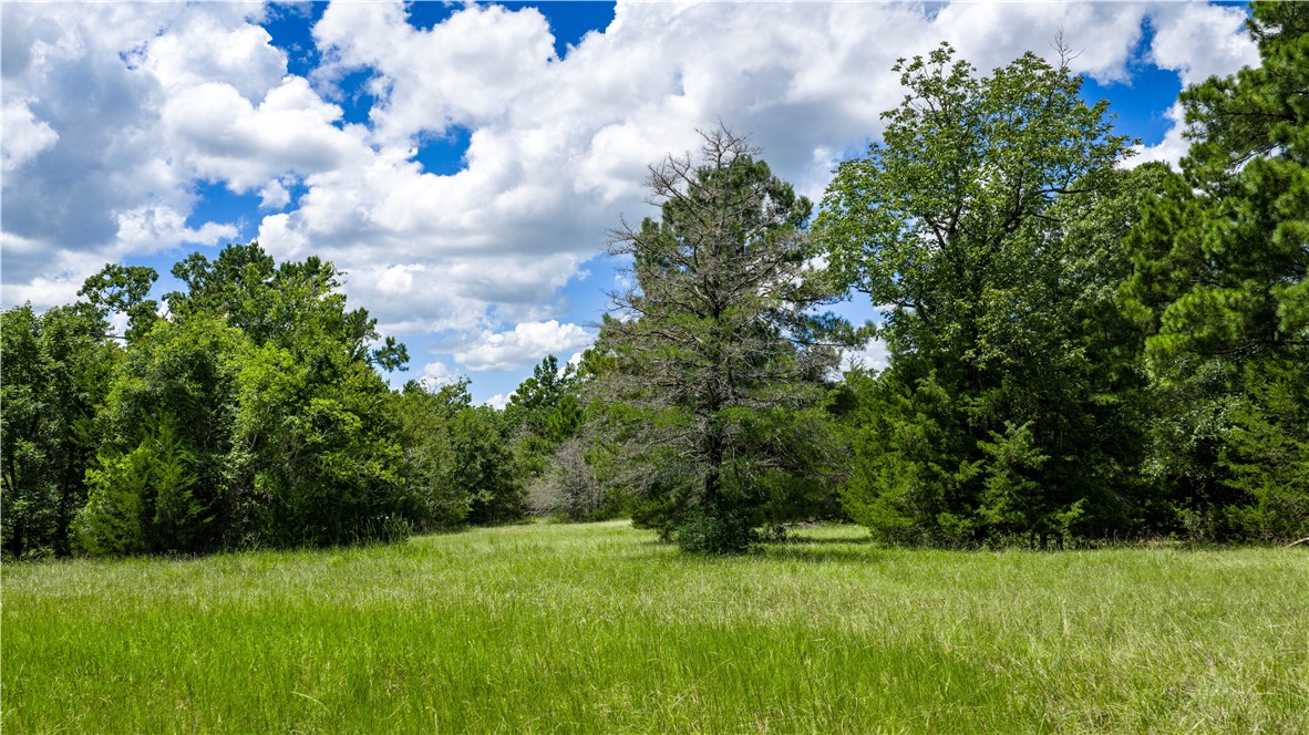 5550 Hamilton Hill Lane Property Photo 19