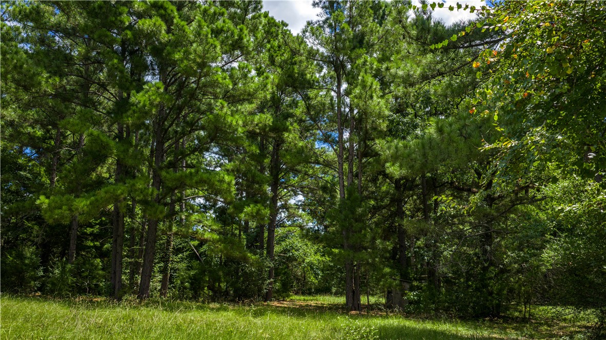 5550 Hamilton Hill Lane Property Photo 20