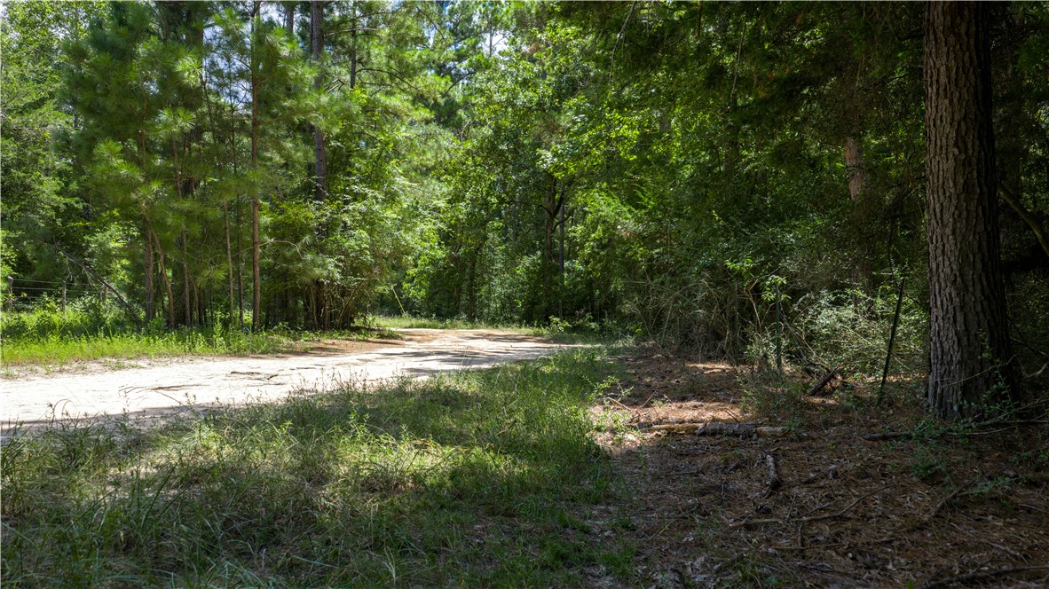 5550 Hamilton Hill Lane Property Photo 21