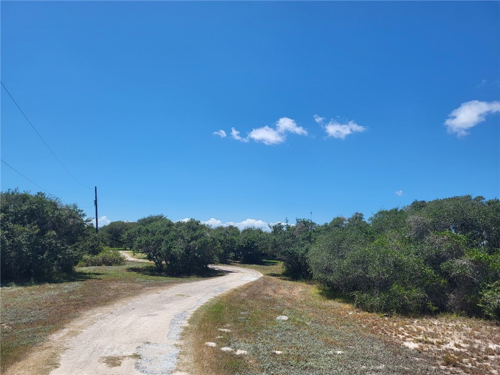 1051 Jacoby St Property Photo 3