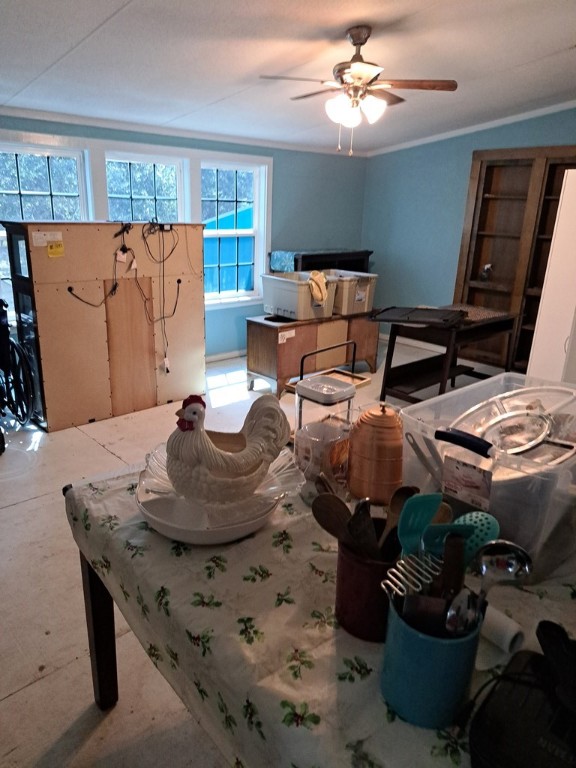 1051 Jacoby St Property Photo 14