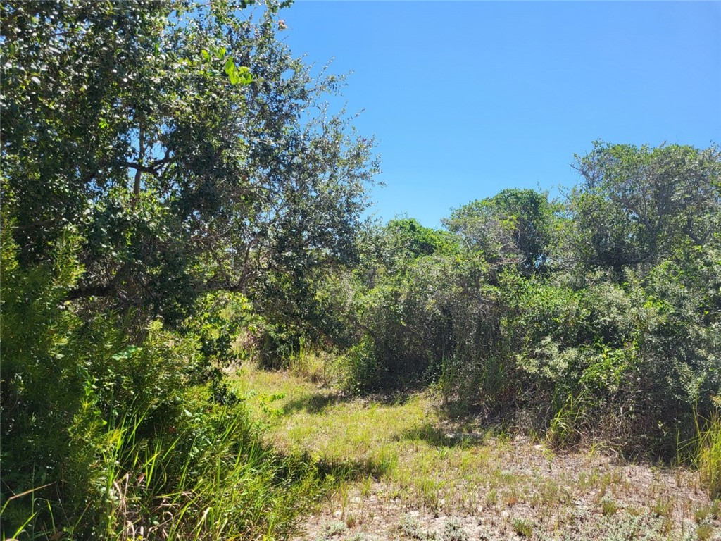 1051 Jacoby St Property Photo 35