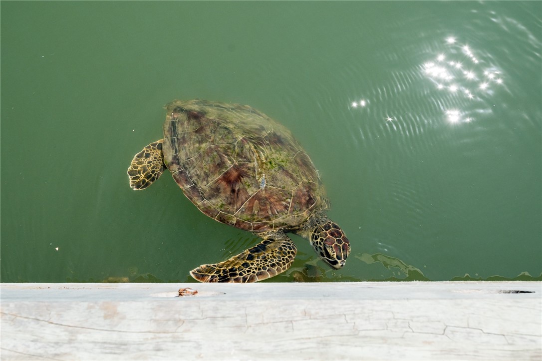 318 W Cotter Ave 2 Property Photo 11