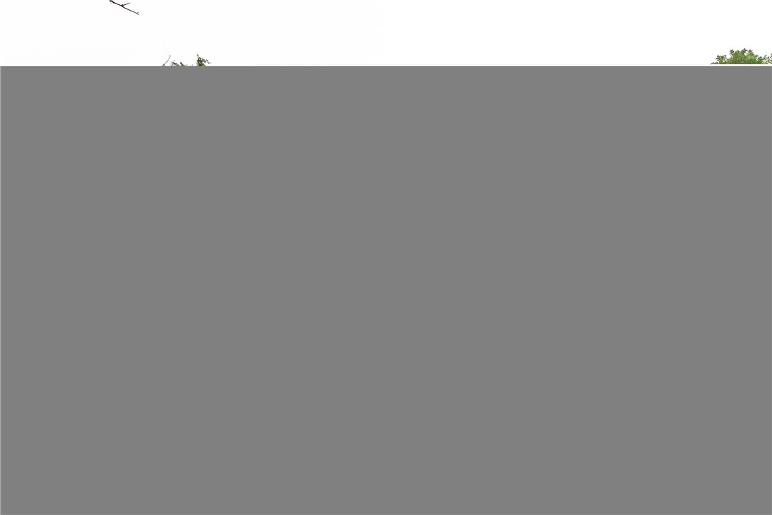 1005 Furman Ave 2 Property Photo 11