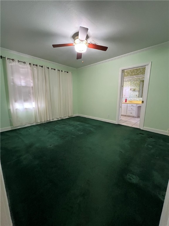 406 Fred Ave Property Photo 12