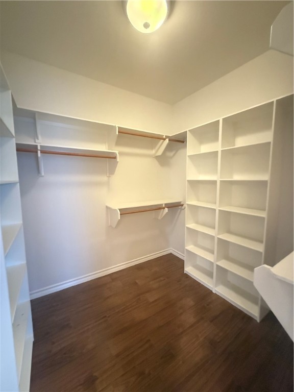 14510 Dragonet St Property Photo 11