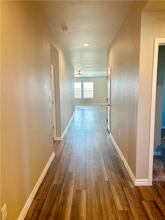 2829 Excelsior Blvd Property Photo 15