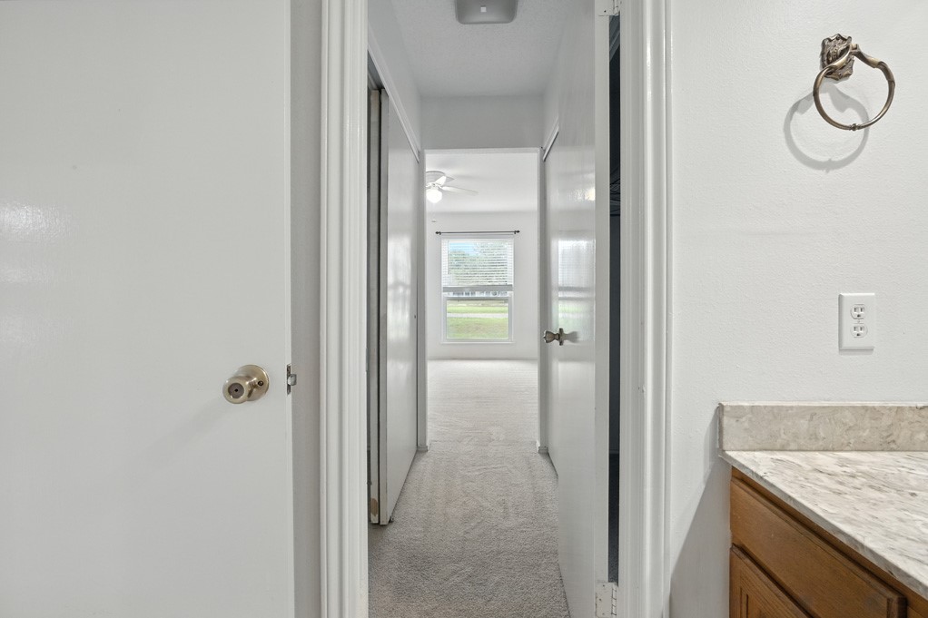 221 Marion Dr Property Photo 19