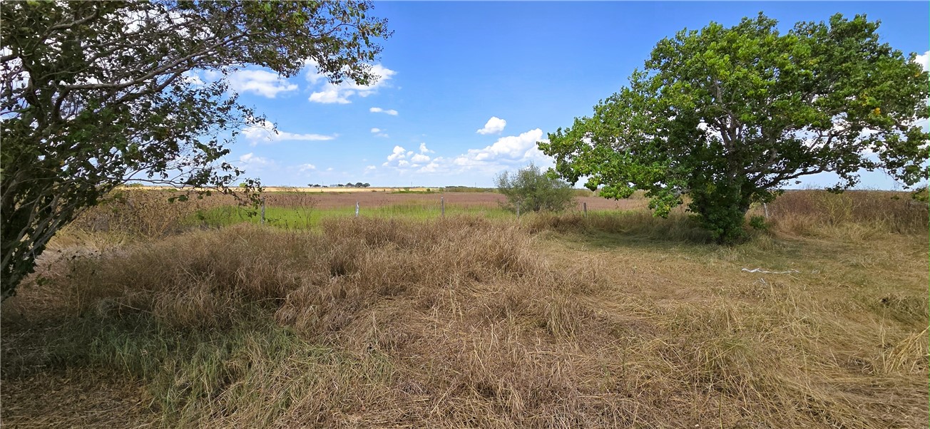 15526 County Road 1510 Property Photo 12
