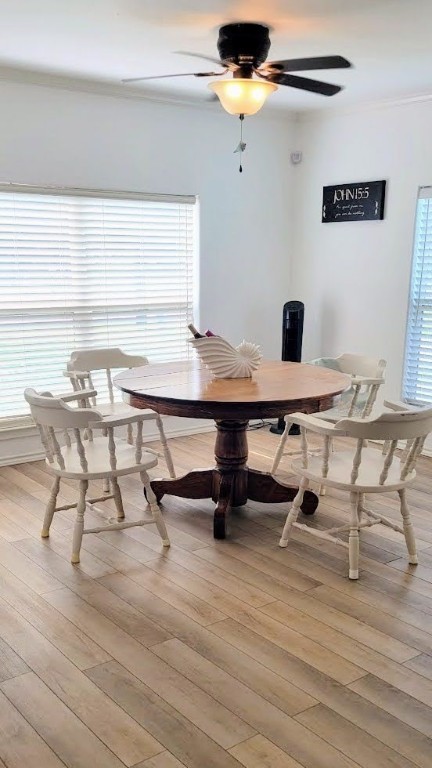 1118 Patton Street Property Photo 6