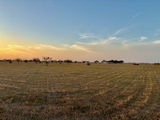 16903 Fm 630 Property Photo 8