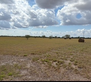 16903 Fm 630 Property Photo 10