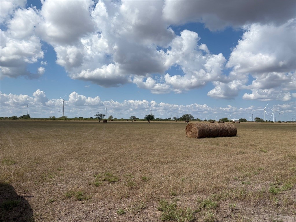 16903 Fm 630 Property Photo 17