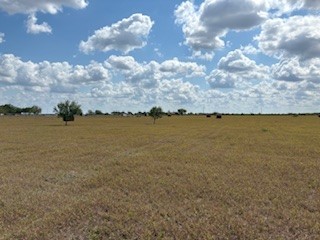16903 Fm 630 Property Photo 18