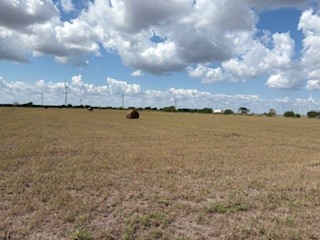 16903 Fm 630 Property Photo 20