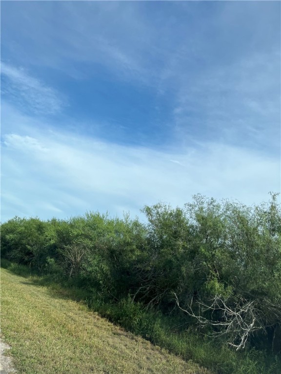 461 W County Road 2165 Property Photo 4