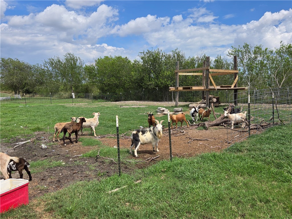 7092 County Road 4121 Property Photo 38