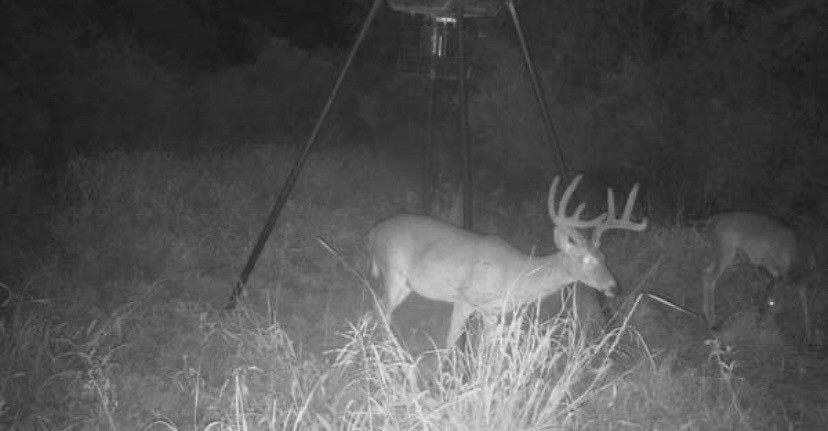 16.89 Acres N Hwy 281 Property Photo 5