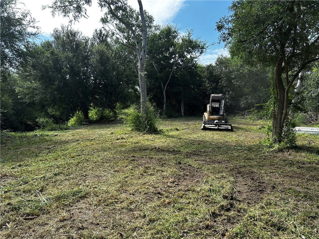 16.89 Acres N Hwy 281 Property Photo 6