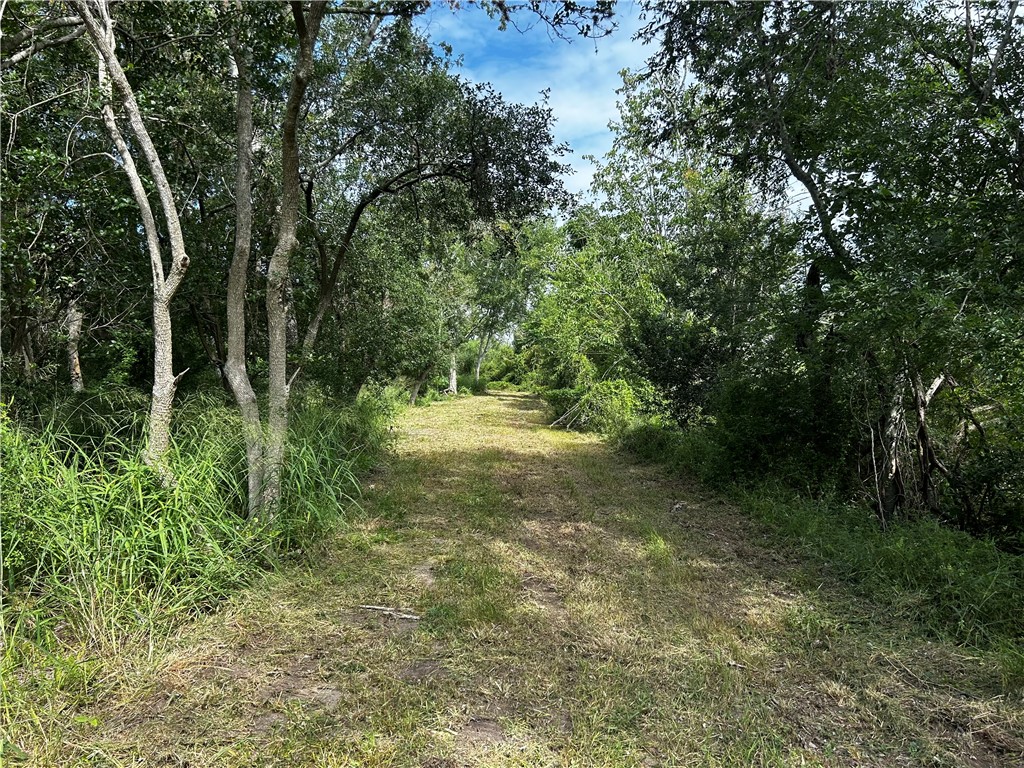 16.89 Acres N Hwy 281 Property Photo 7