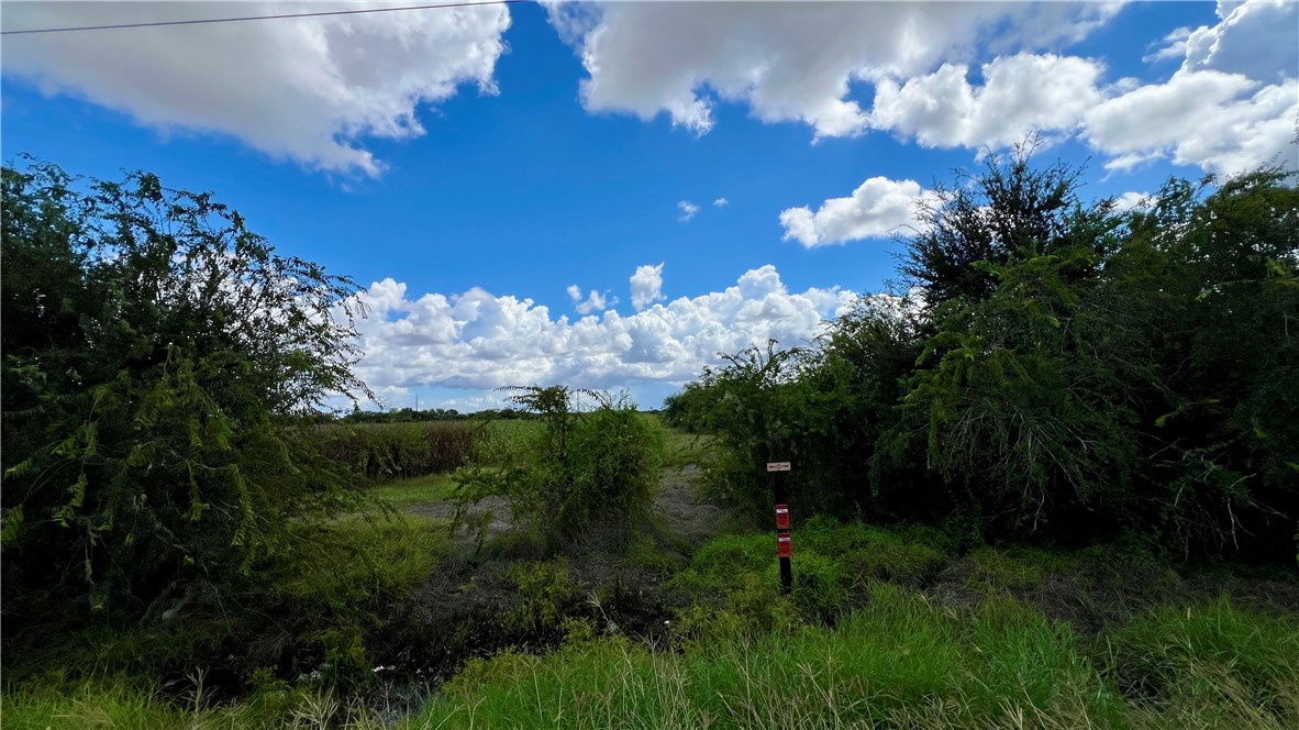 0000 Kenedy Property Photo 10