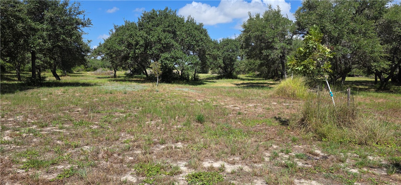 0 Pace Ave Property Photo 2