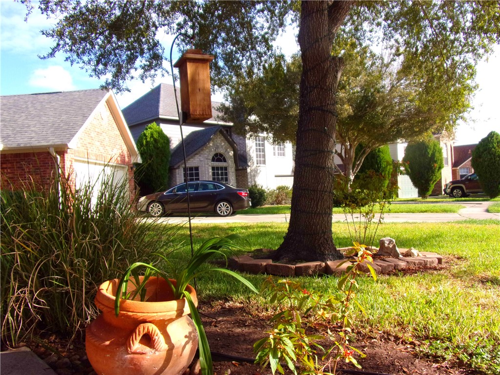 7032 Carmer Circ Property Photo 4