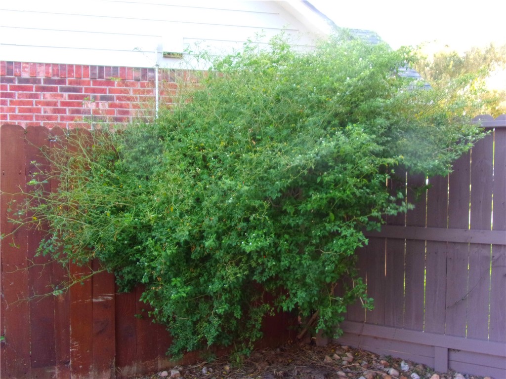 7032 Carmer Circ Property Photo 26