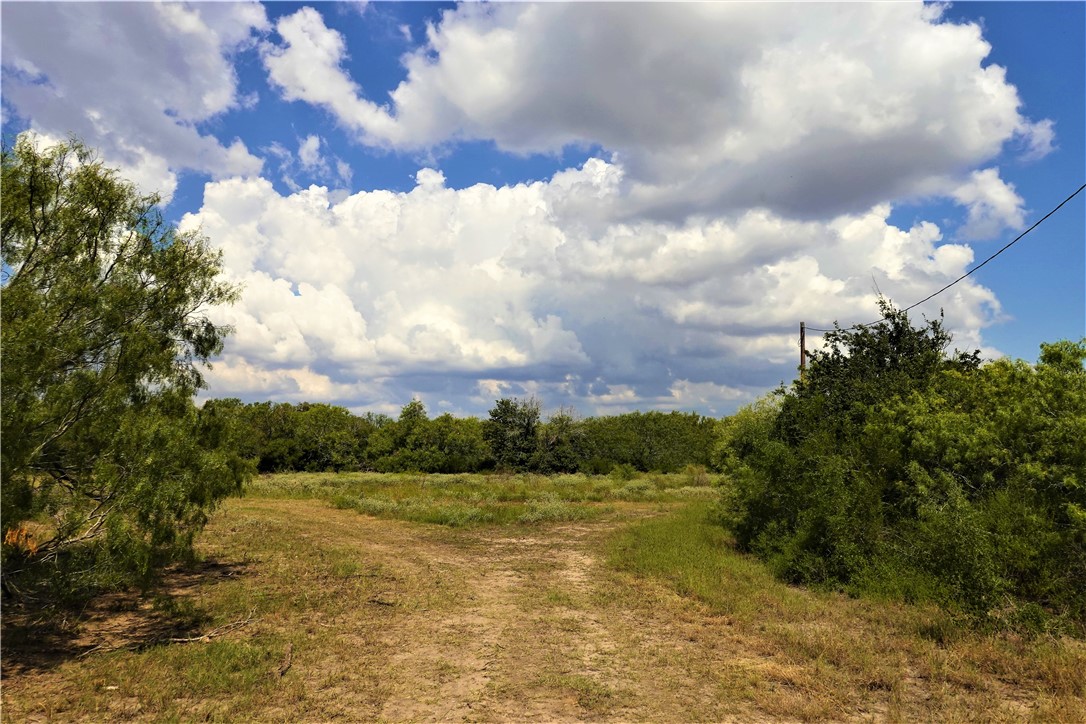 0000 County Road 3067 & Cr 2200 Property Photo 16