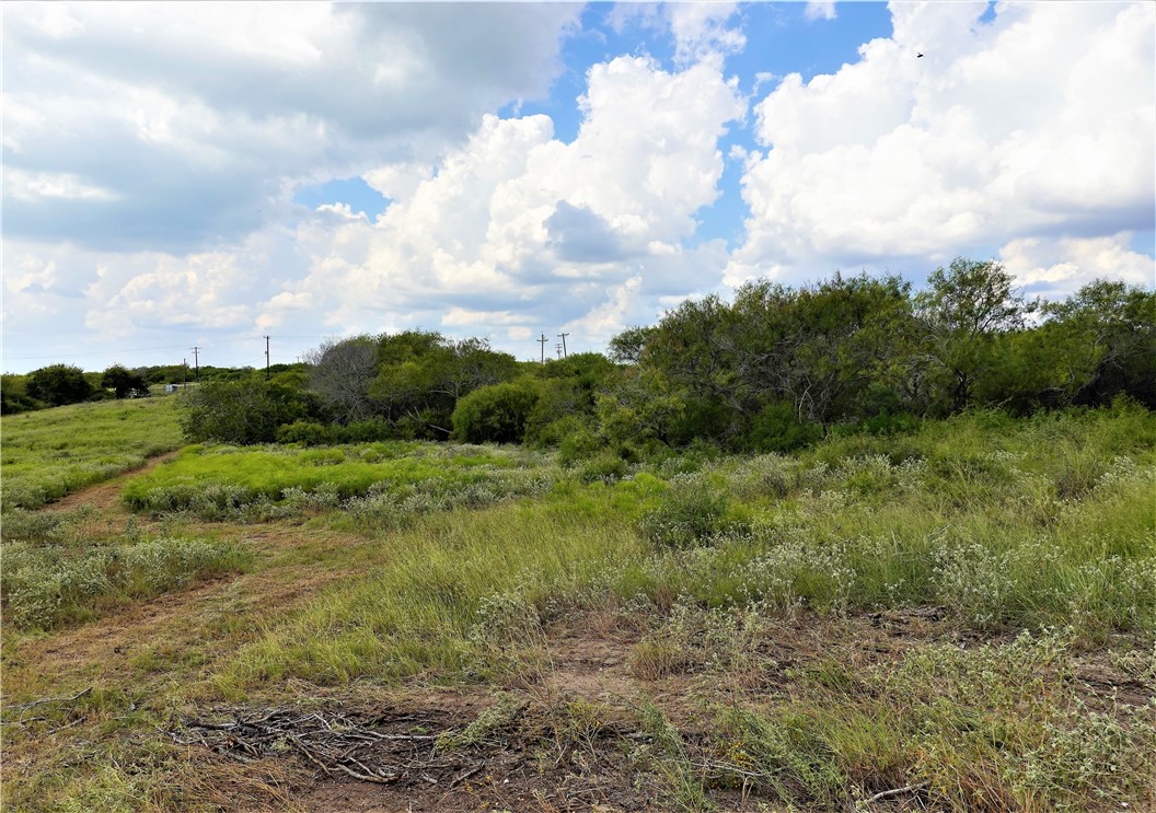 0000 County Road 3067 & Cr 2200 Property Photo 19
