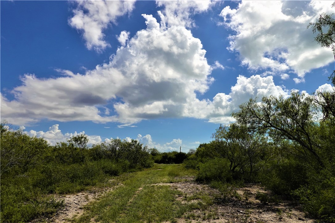 0000 County Road 3067 & Cr 2200 Property Photo 21
