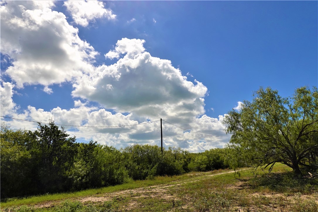 0000 County Road 3067 & Cr 2200 Property Photo 22