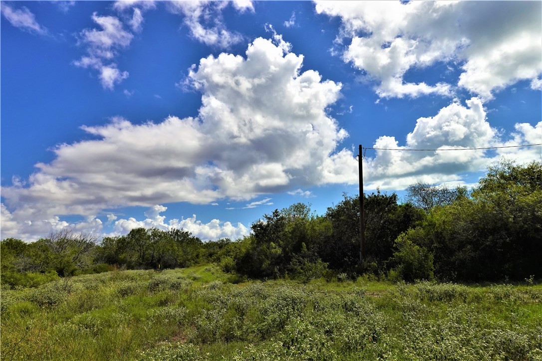 0000 County Road 3067 & Cr 2200 Property Photo 23