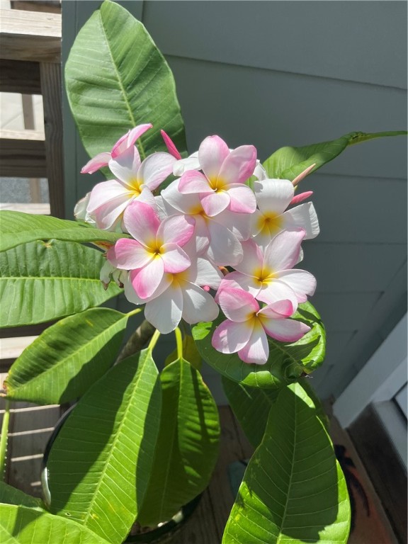 1624 S Eleventh St 2 Property Photo 18