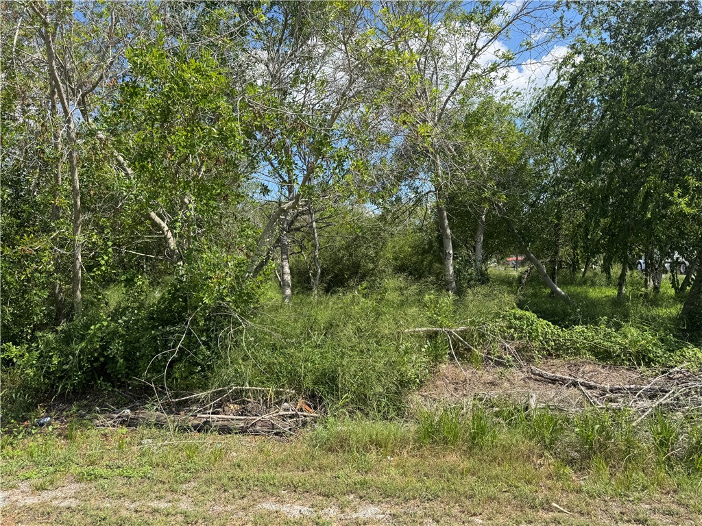 543 W Verbina St Property Photo 1