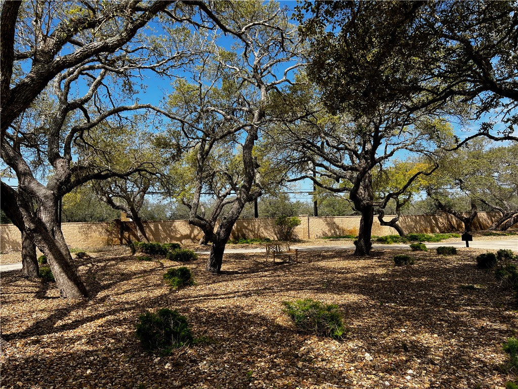 1301-a Royal Oaks Trai Property Photo 23