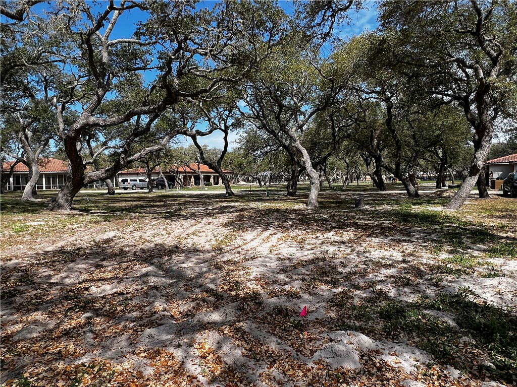 1202-R Royal Oaks Trai Property Photo 1
