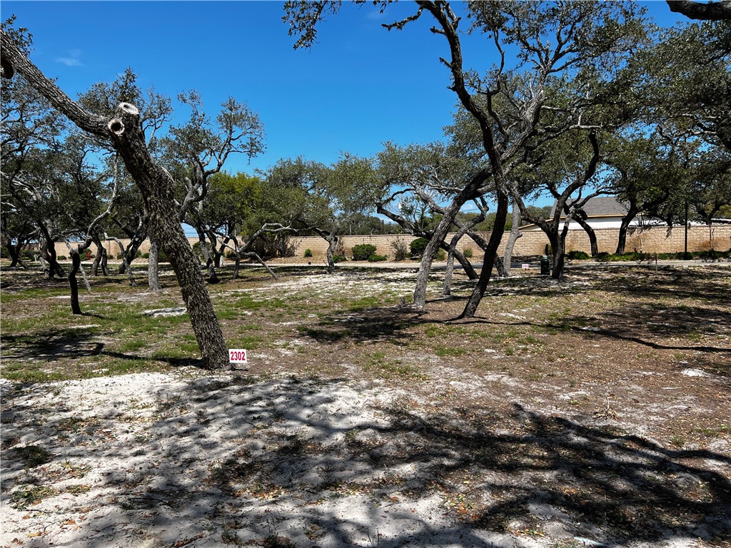 2302 Royal Oaks Property Photo 1