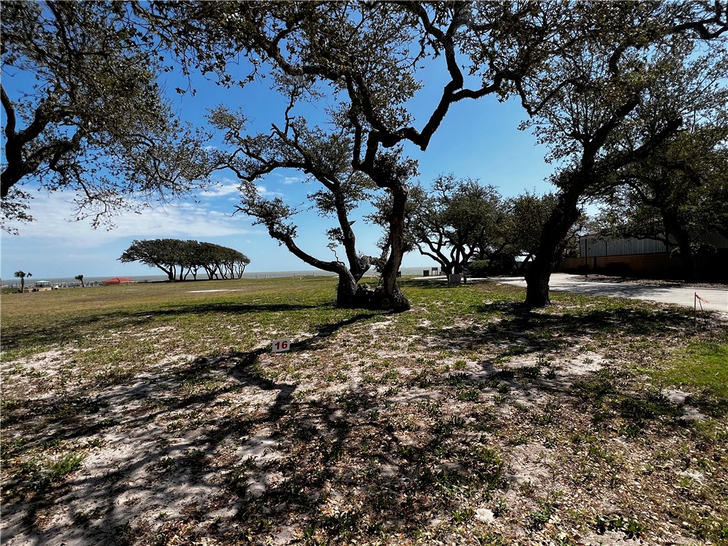 16 Royal Oaks Property Photo 4