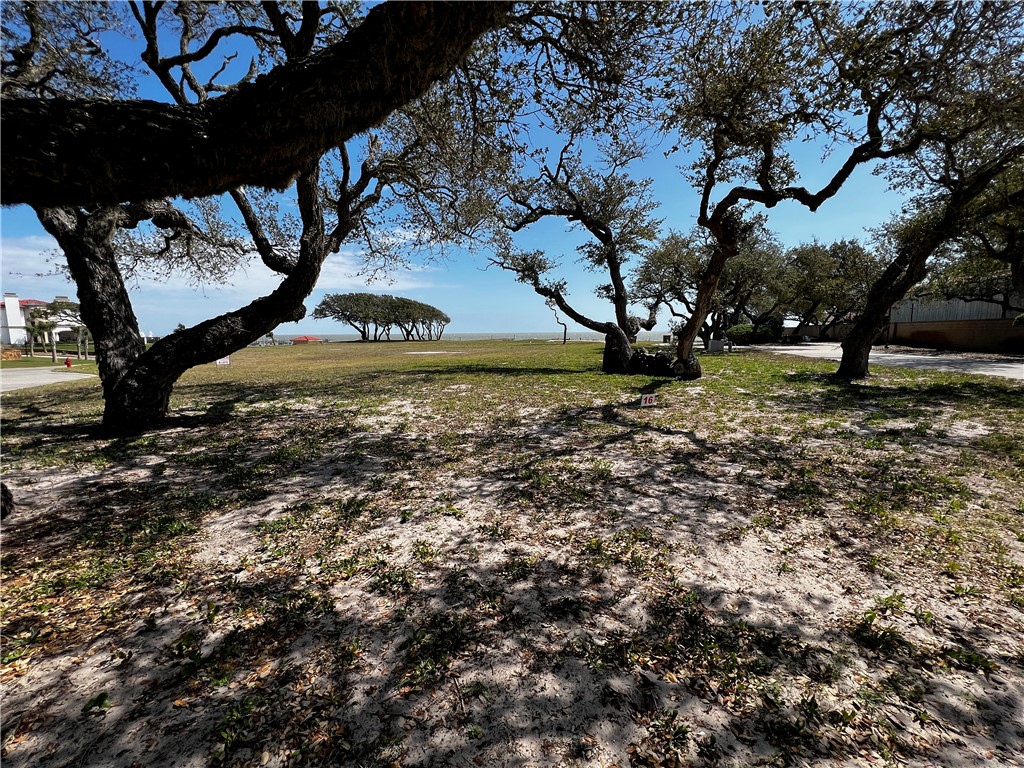 16 Royal Oaks Property Photo 5