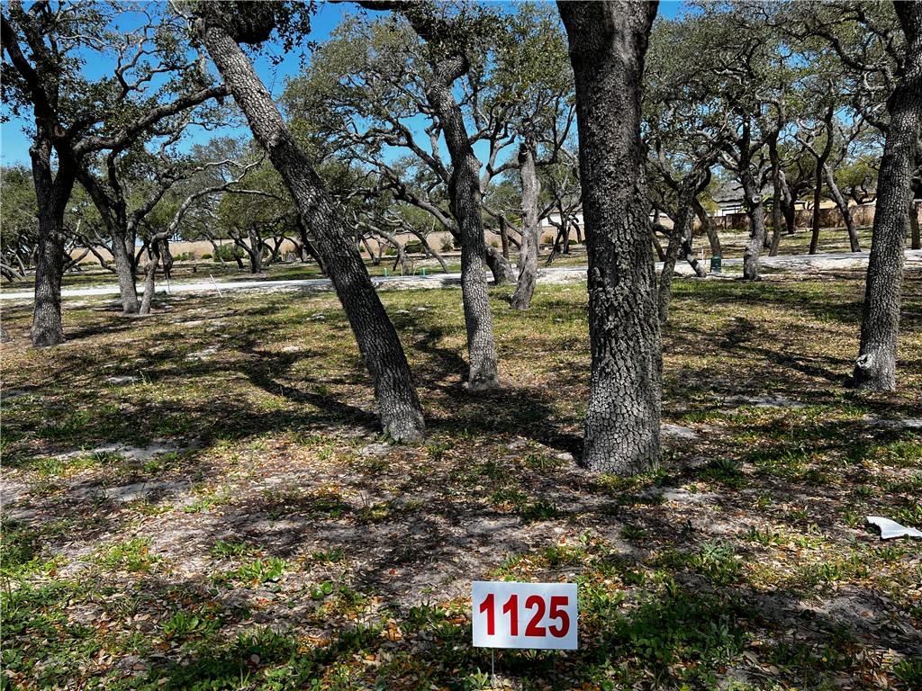 1125 Acorn Dr Property Photo 2