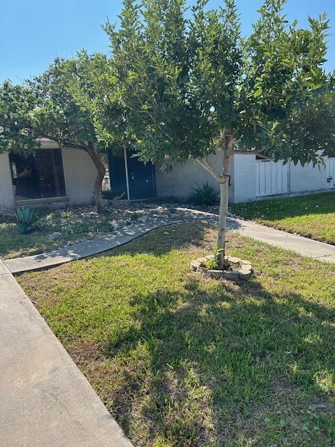 445 Haroldson Dr Property Photo 1