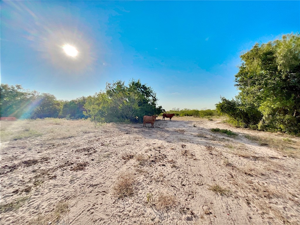 Cr 119 Property Photo 8