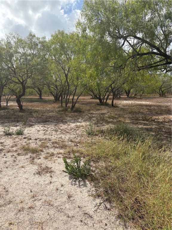 122 County Road 3052 Property Photo 8