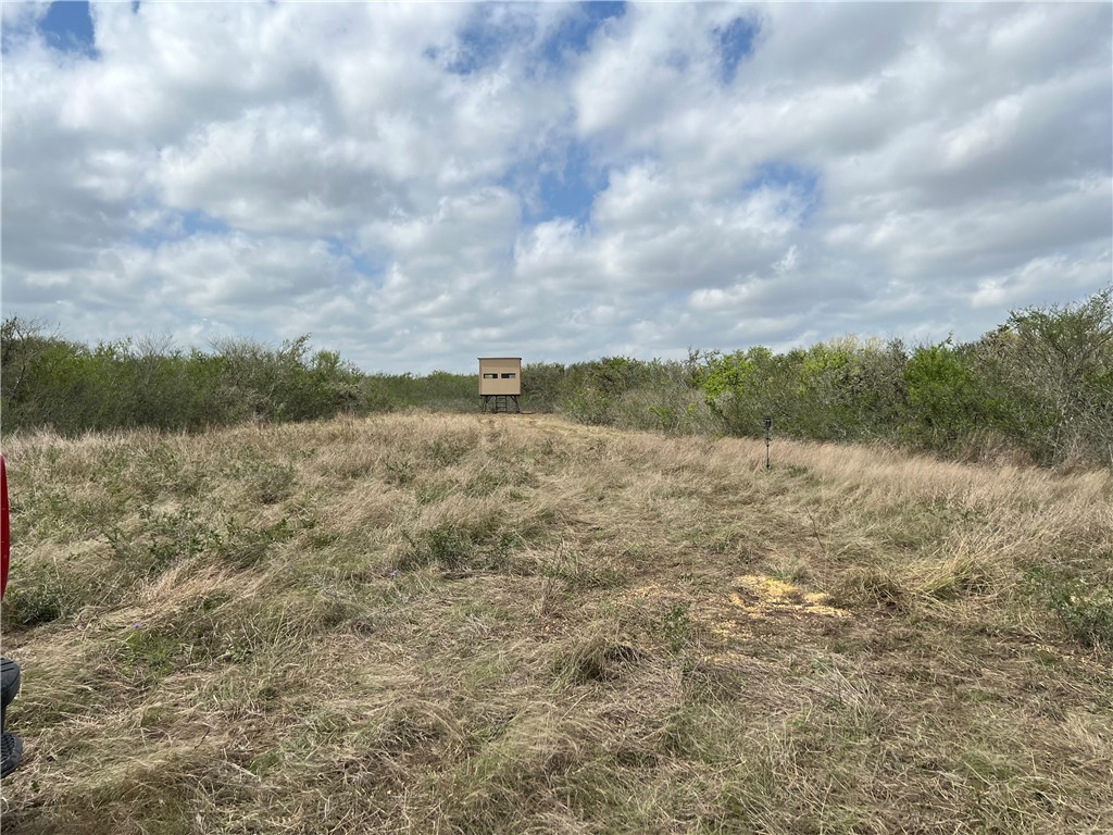 0 Blackbrush Spur Property Photo 1