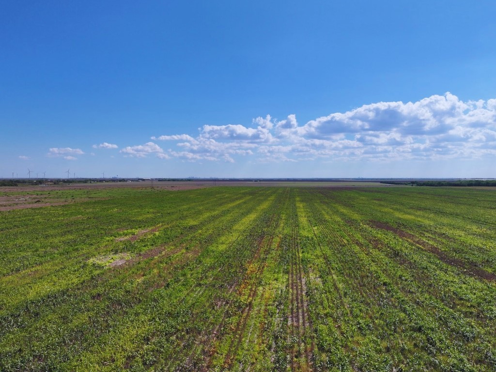 Tbd Fm 53 Property Photo 3