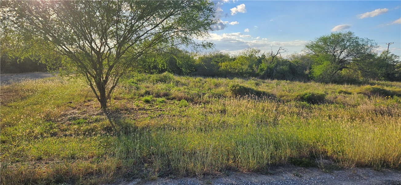 0 French St Property Photo 1