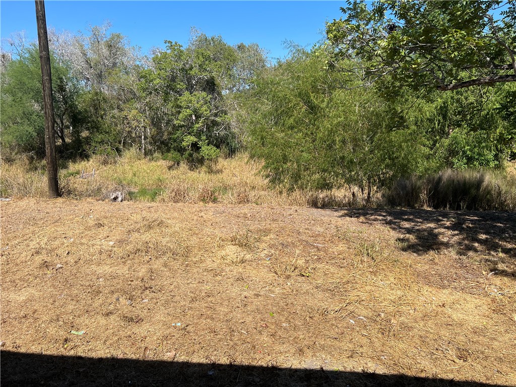 295 Mystic Dr Property Photo 11