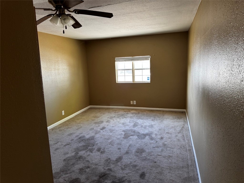 5314 Navarro St Property Photo 9